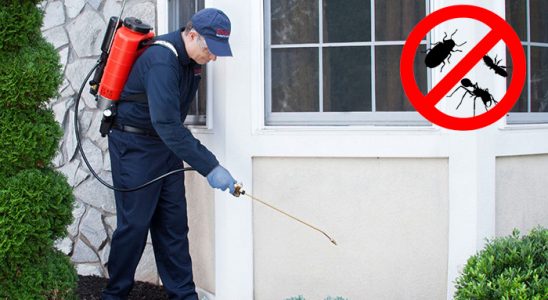 Köse Böcek İlaçlama böcek ilaçlama ve haşere kontrolü — ilaclama-tr.com